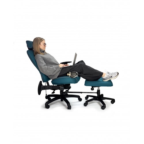 HETLEYS MOTION FLEX ERGONOMIC TASK CHAIR HETLEYS MOTION FLEX ERGONOMIC TASK CHAIR