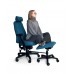 HETLEYS MOTION FLEX ERGONOMIC TASK CHAIR HETLEYS MOTION FLEX ERGONOMIC TASK CHAIR