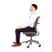FELLOWES SLIMLINE LIGHTWEIGHT BACK SUPPORT