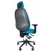 ERGOCUBE C4 ERGONOMIC TASK OFFICE CHAIR