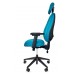 ERGOCUBE C4 ERGONOMIC TASK OFFICE CHAIR