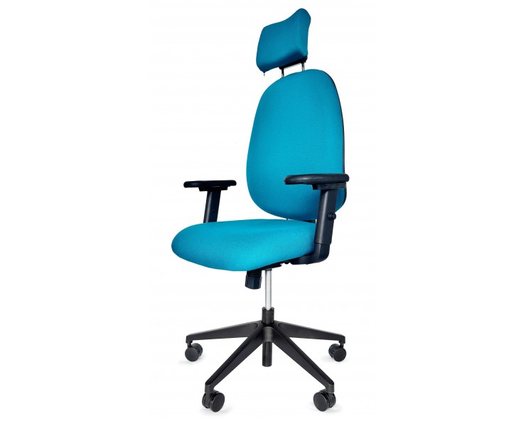 Ergocube C6 Ergonomic Task Chair with Headrest