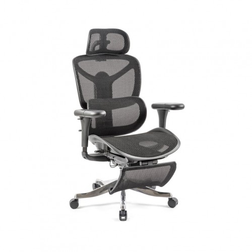 Mesh Ergonomic Office Chair with Legrest Mesh Ergonomic Office Chair with Legrest