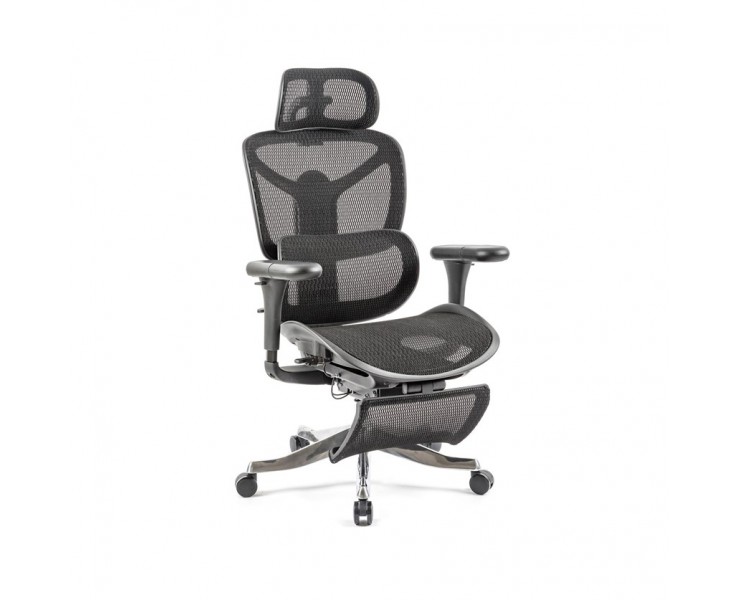 Mesh Ergonomic Office Chair with Legrest Mesh Ergonomic Office Chair with Legrest